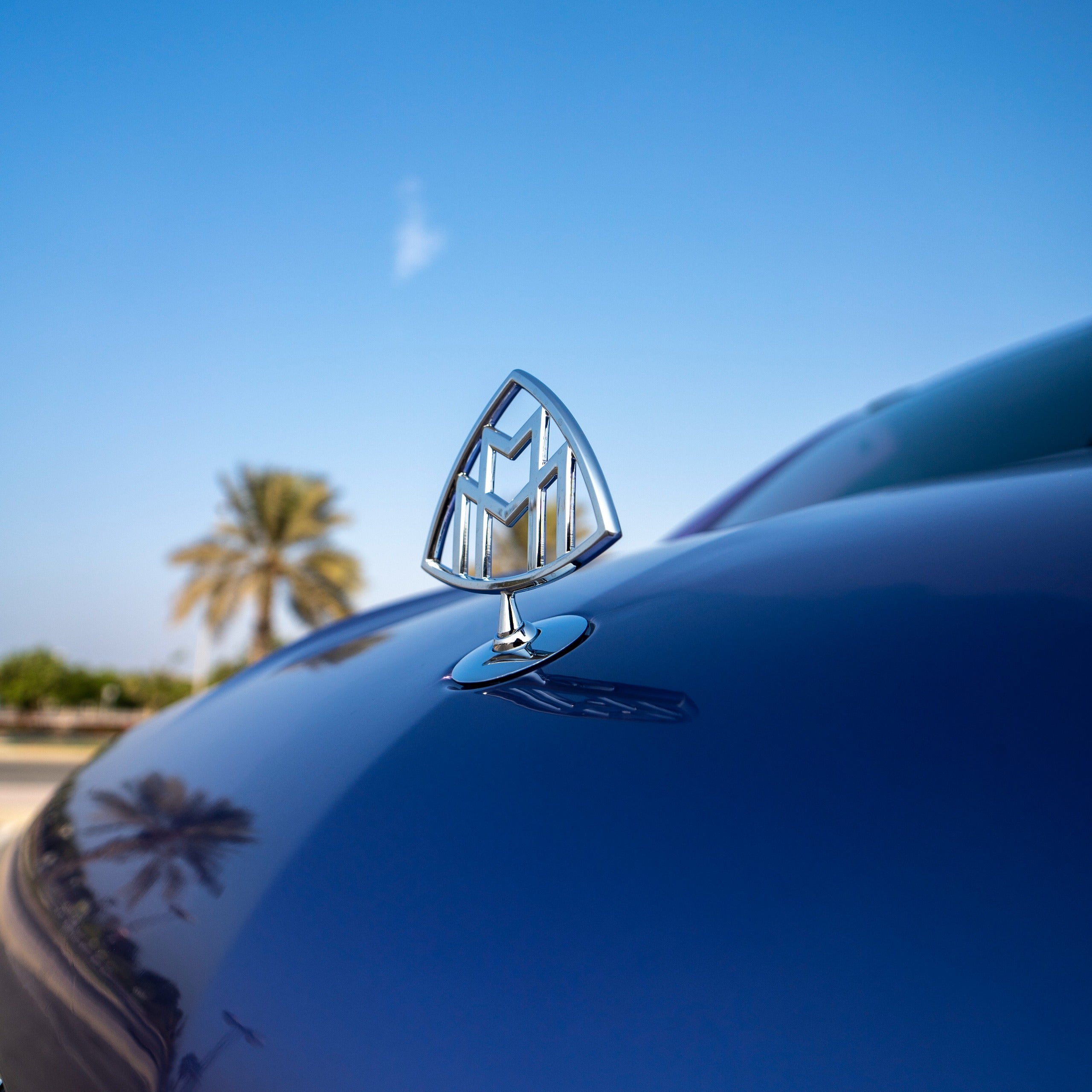 Luxury Maybach Lavender